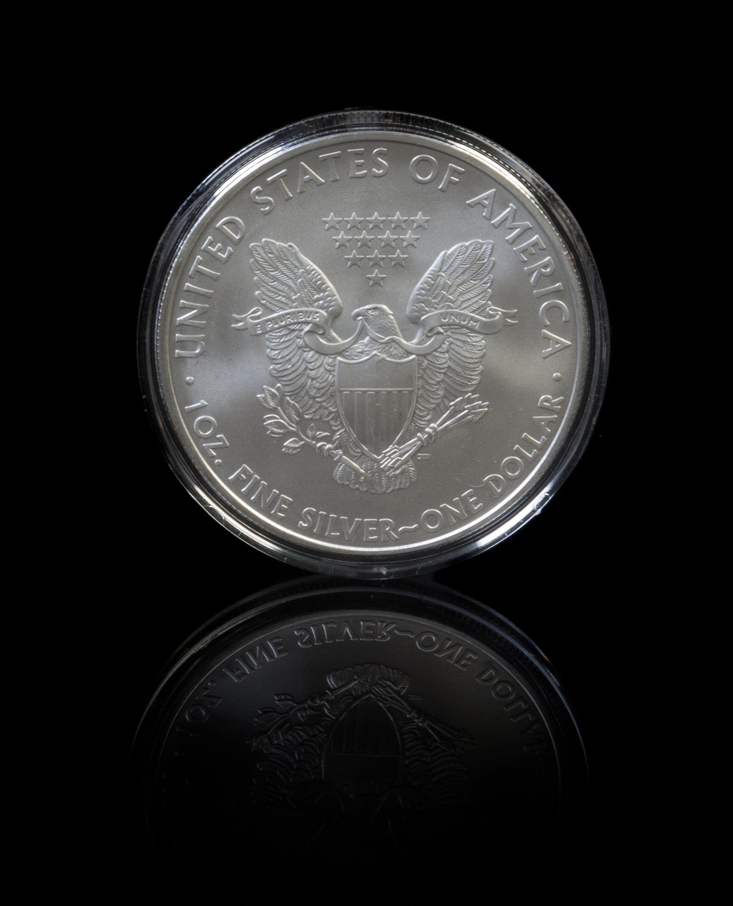A Collection of 18 United States Silver Eagle $1 Rounds