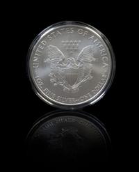 A Collection of 18 United States Silver Eagle $1 Rounds
