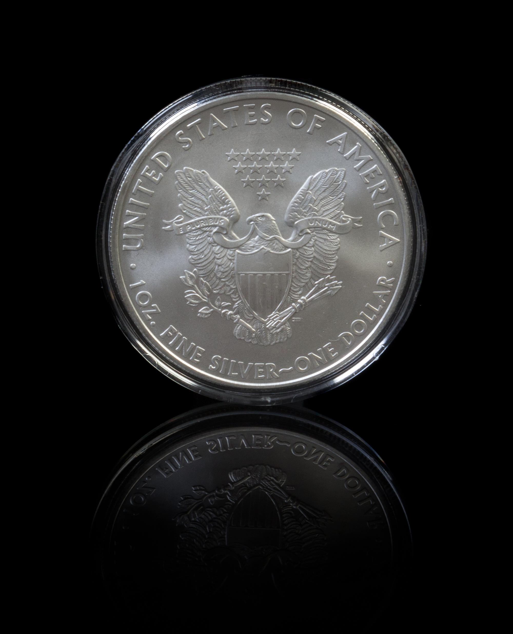 A Collection of 18 United States Silver Eagle $1 Rounds