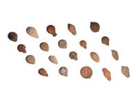 Nineteen Greco-Roman Terracotta Oil Lamps