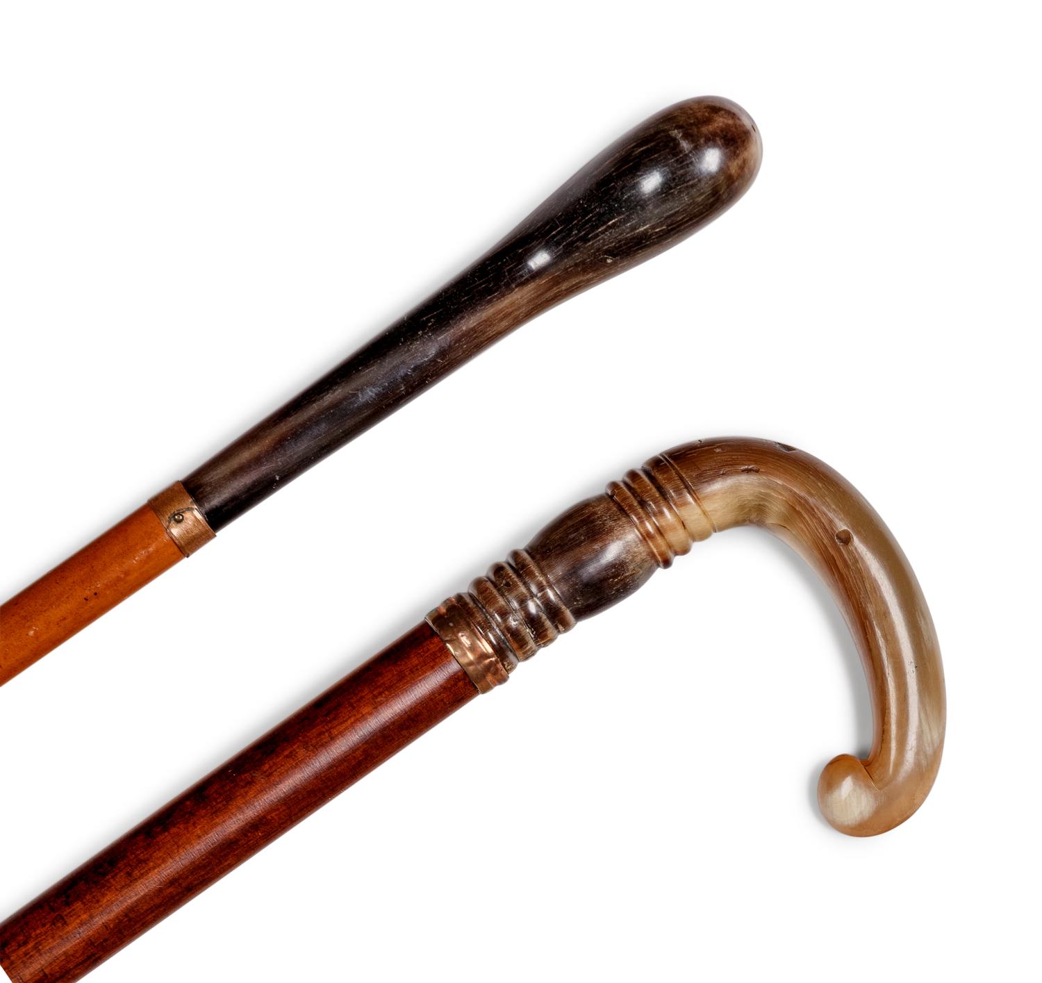 Two Horn Mounted Walking Sticks