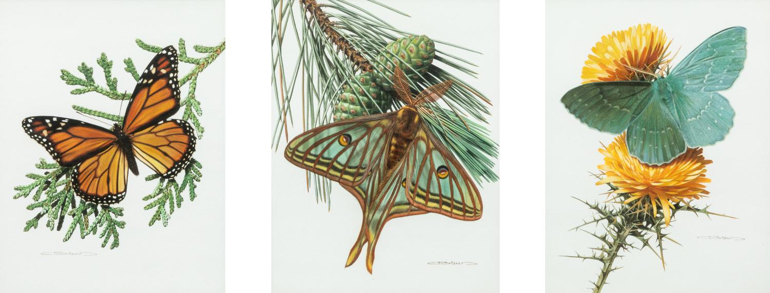 Flying in Harmony , Triptych