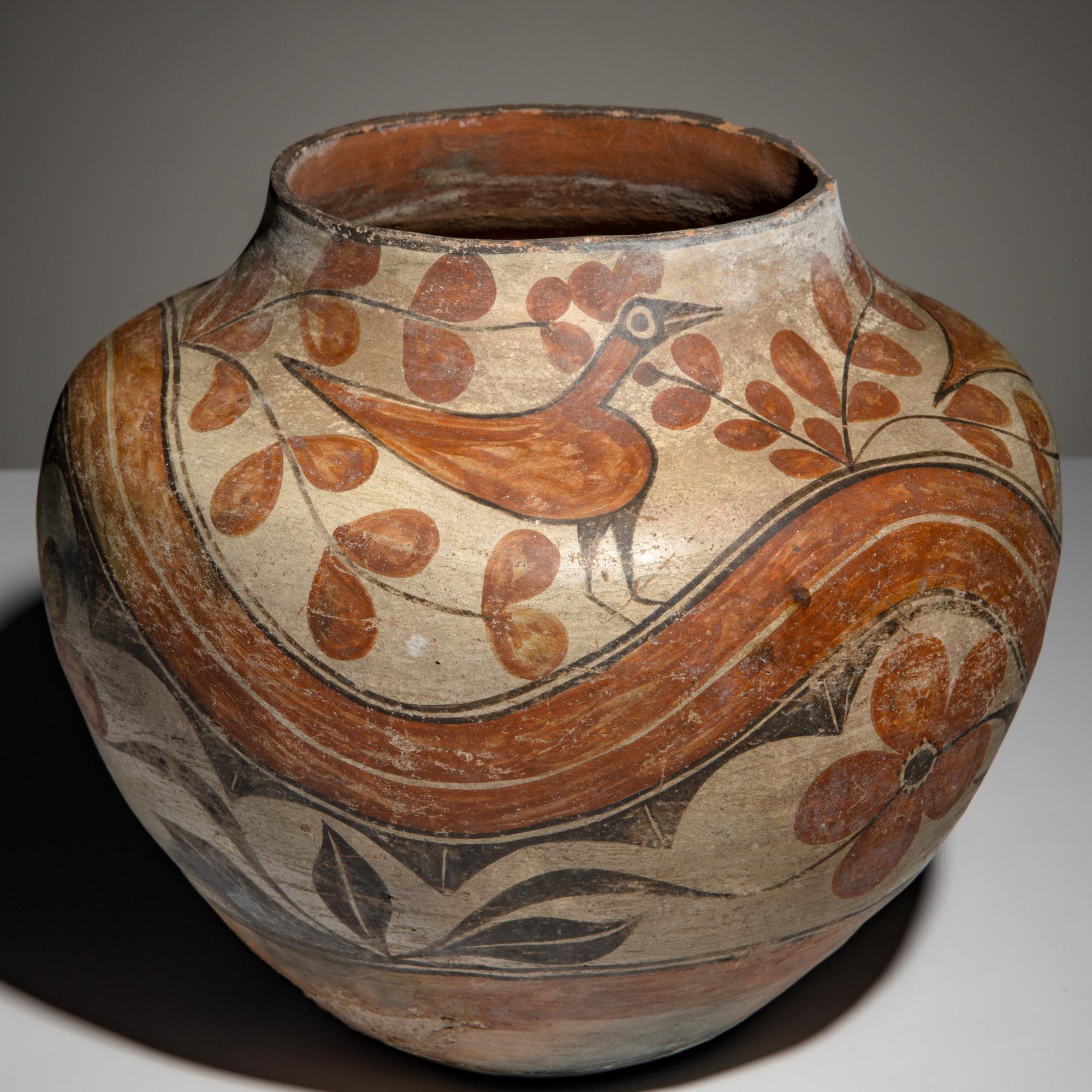 Zia Polychrome Pottery Olla