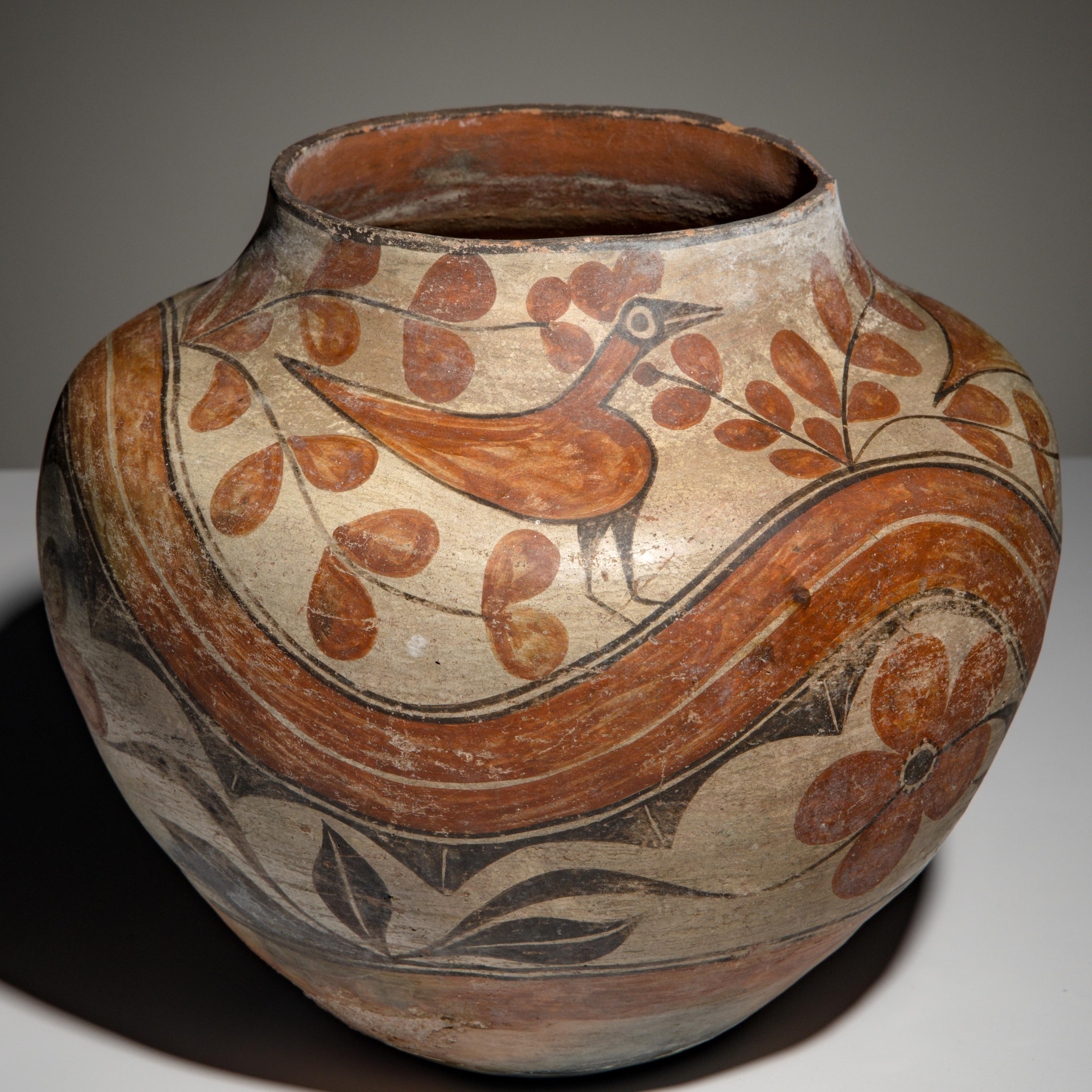 Zia Polychrome Pottery Olla