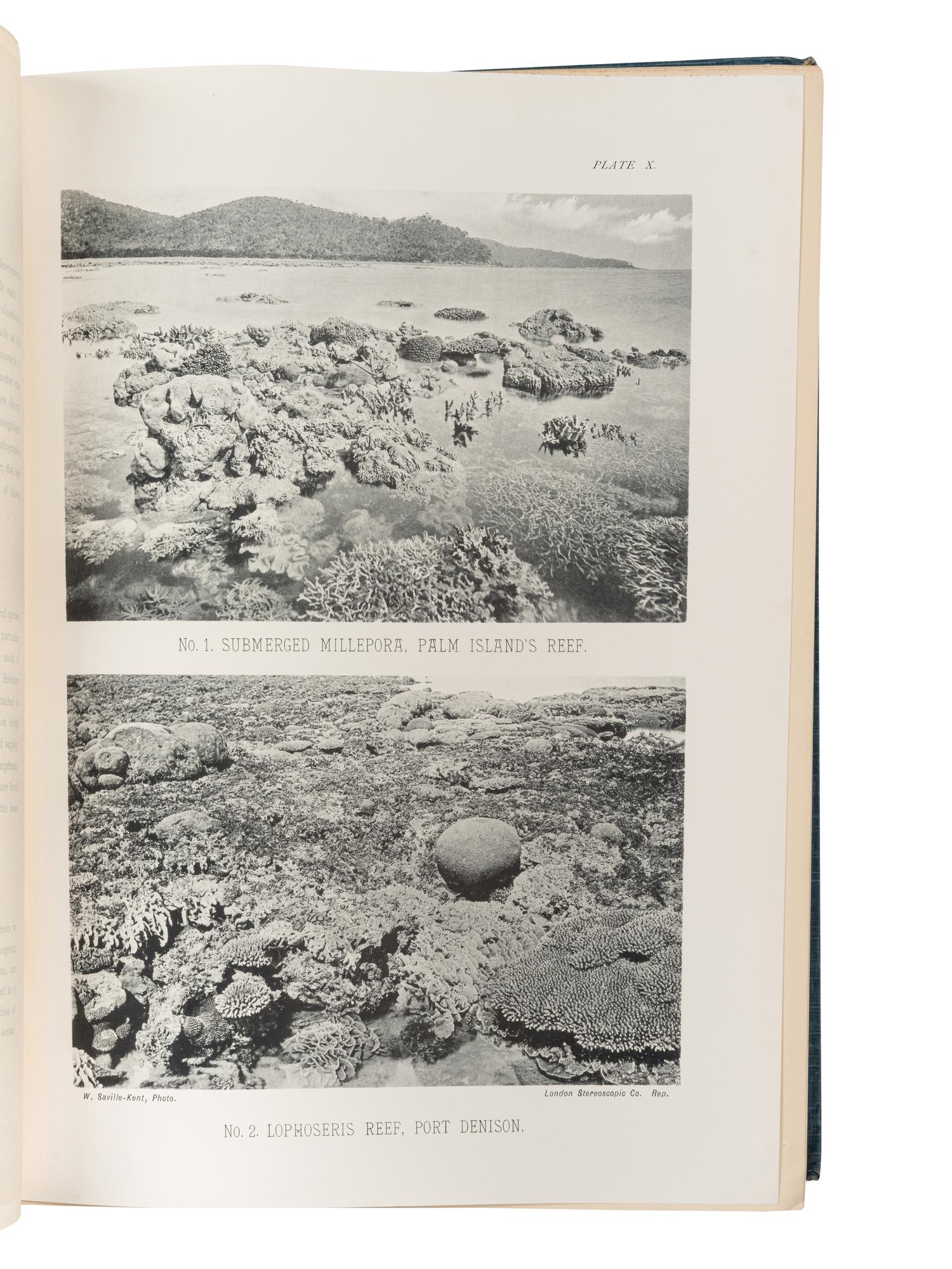 [EXPLORATION -- AUSTRALIA & NEW ZEALAND]. A group of 3 works, including: