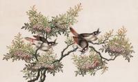 A Set of Twelve Chinese Export Watercolor and Pith Paintings of Exotic Birds