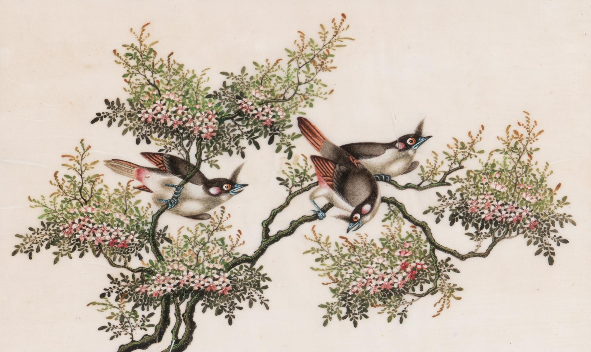 A Set of Twelve Chinese Export Watercolor and Pith Paintings of Exotic Birds