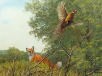 Red Fox and Pheasant
