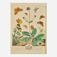 [Natural History] Harris, Moses, and John O. Westwood The Aurelian A Natural History of English Moths and Butterflies, Together with the Figures of Their Transformations and of the Plants on Which They Feed...