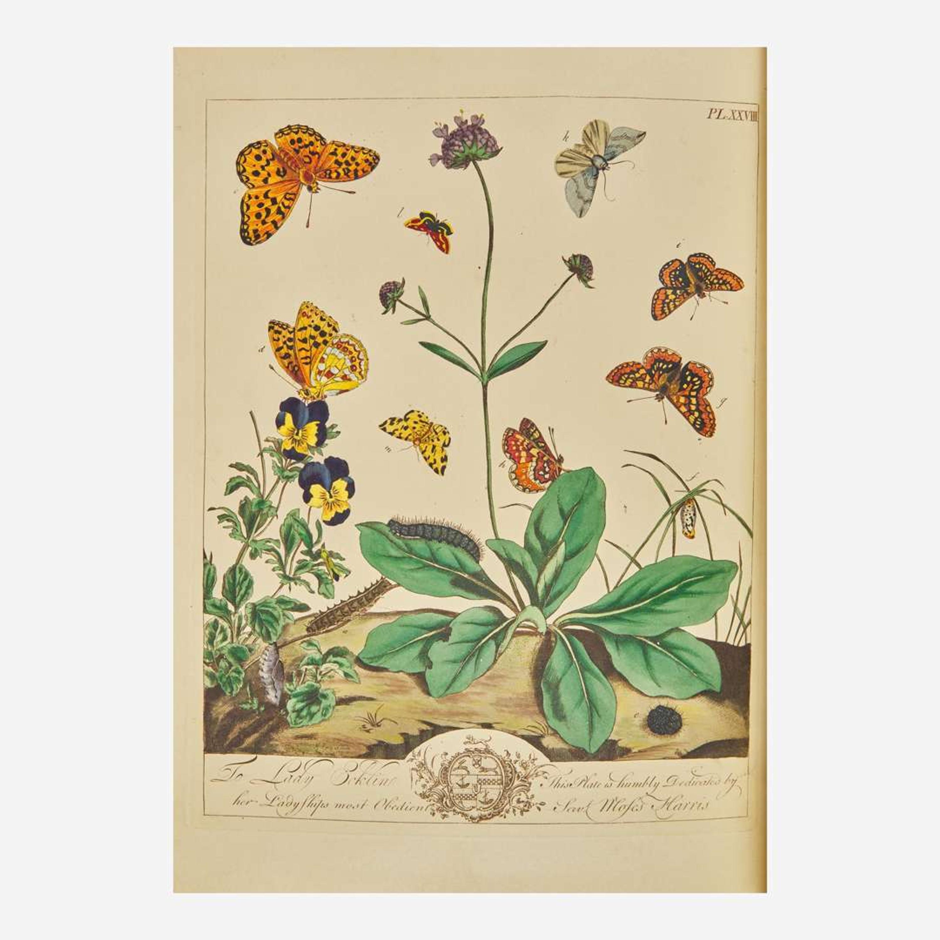 [Natural History] Harris, Moses, and John O. Westwood The Aurelian A Natural History of English Moths and Butterflies, Together with the Figures of Their Transformations and of the Plants on Which They Feed...
