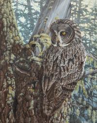 Forest Eyes , 1993