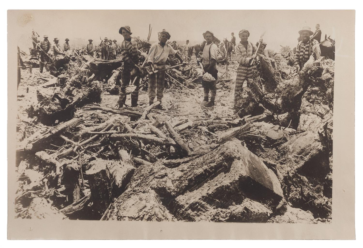 [CRIME & PUNISHMENT]. Press photograph of African American prisoners working on a Florida farm. New York: Keystone View Co., ca 1910s.