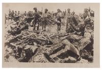 [CRIME & PUNISHMENT]. Press photograph of African American prisoners working on a Florida farm. New York: Keystone View Co., ca 1910s.
