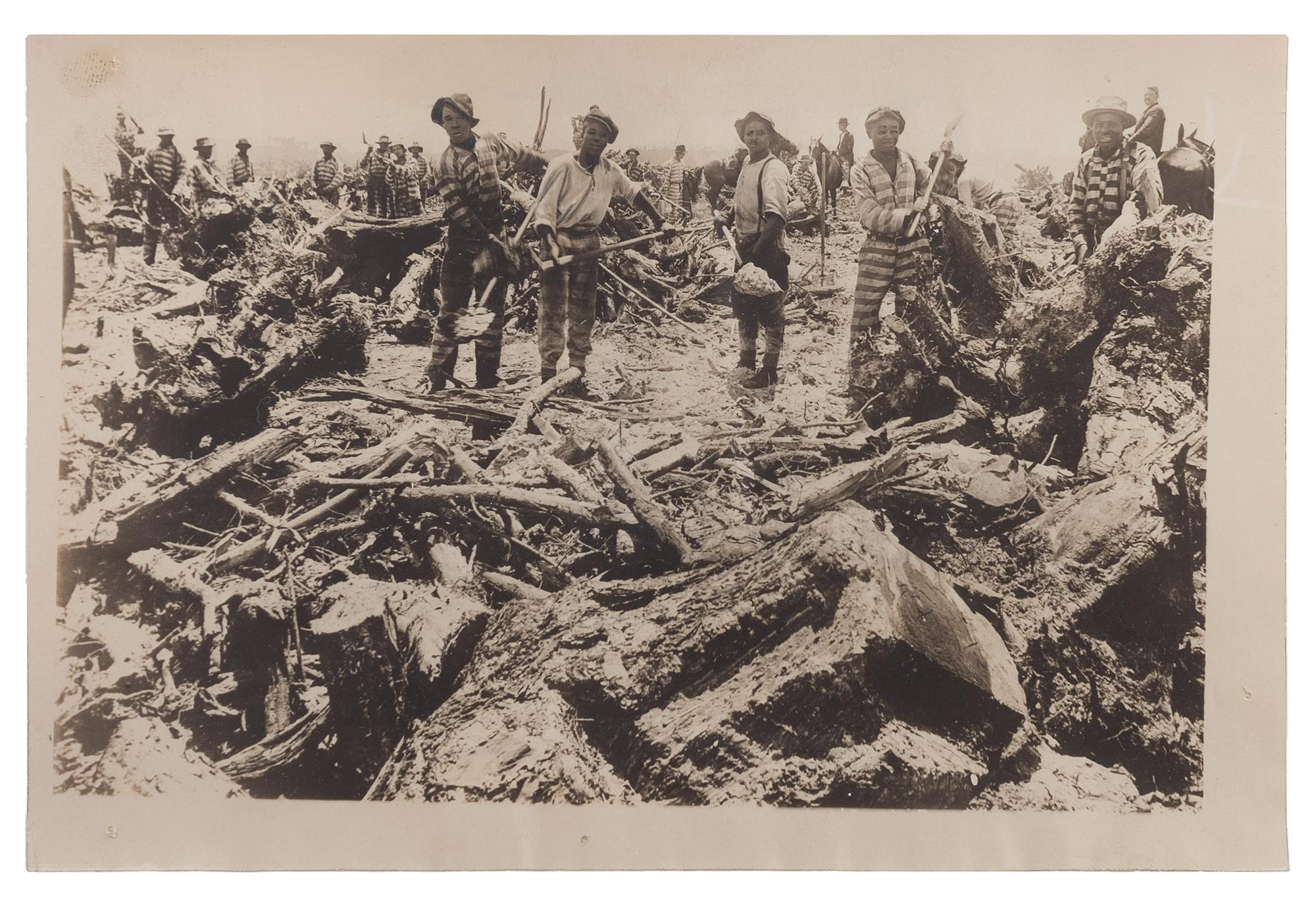 [CRIME & PUNISHMENT]. Press photograph of African American prisoners working on a Florida farm. New York: Keystone View Co., ca 1910s.