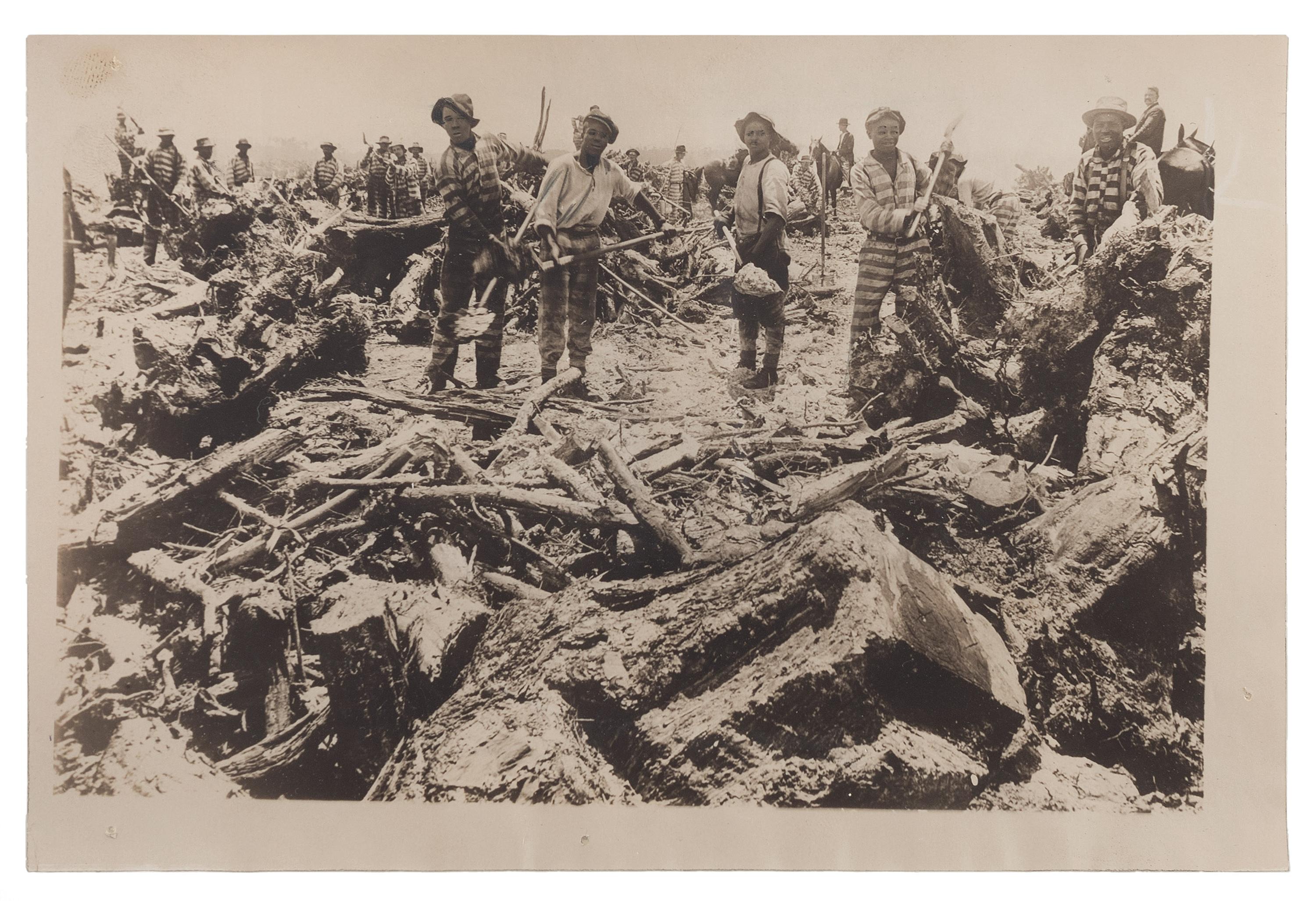 [CRIME & PUNISHMENT]. Press photograph of African American prisoners working on a Florida farm. New York: Keystone View Co., ca 1910s.