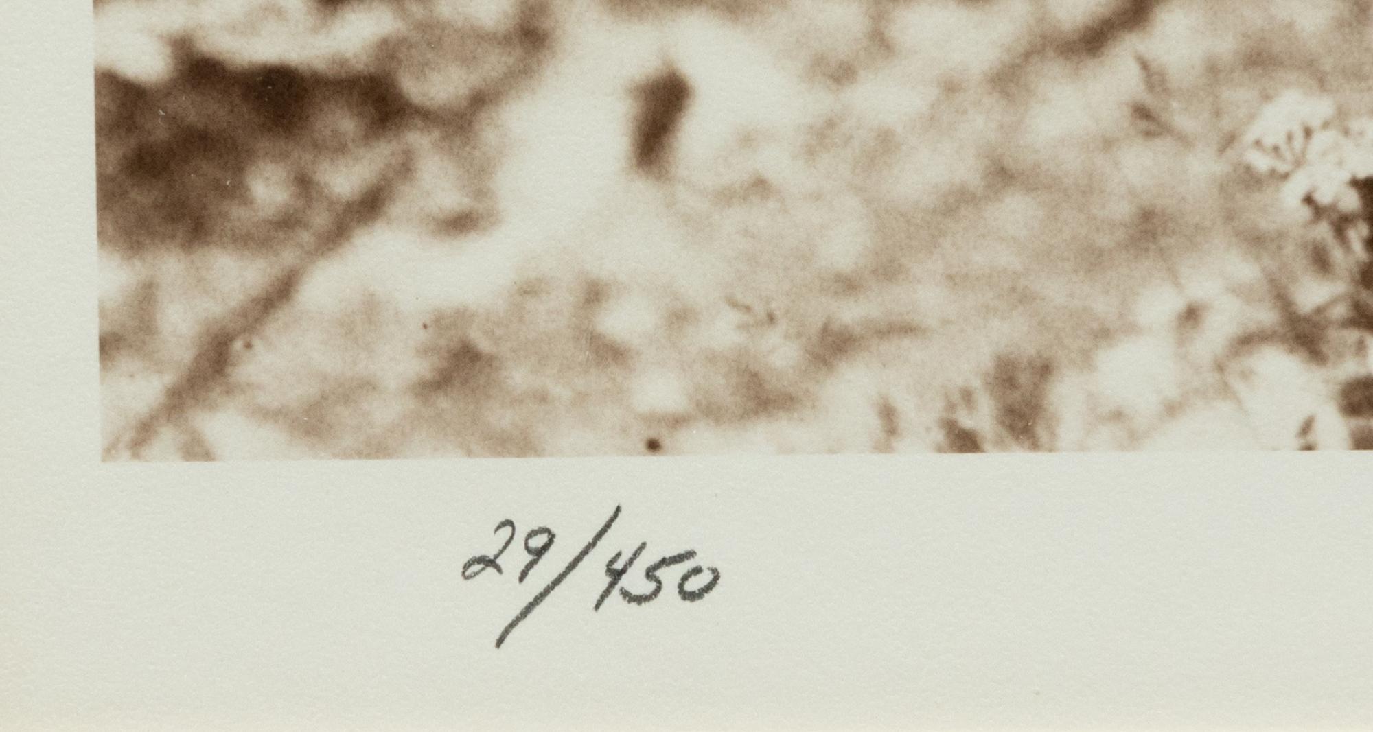 A Group of Six modern Photographs