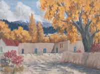 New Mexico Landscape