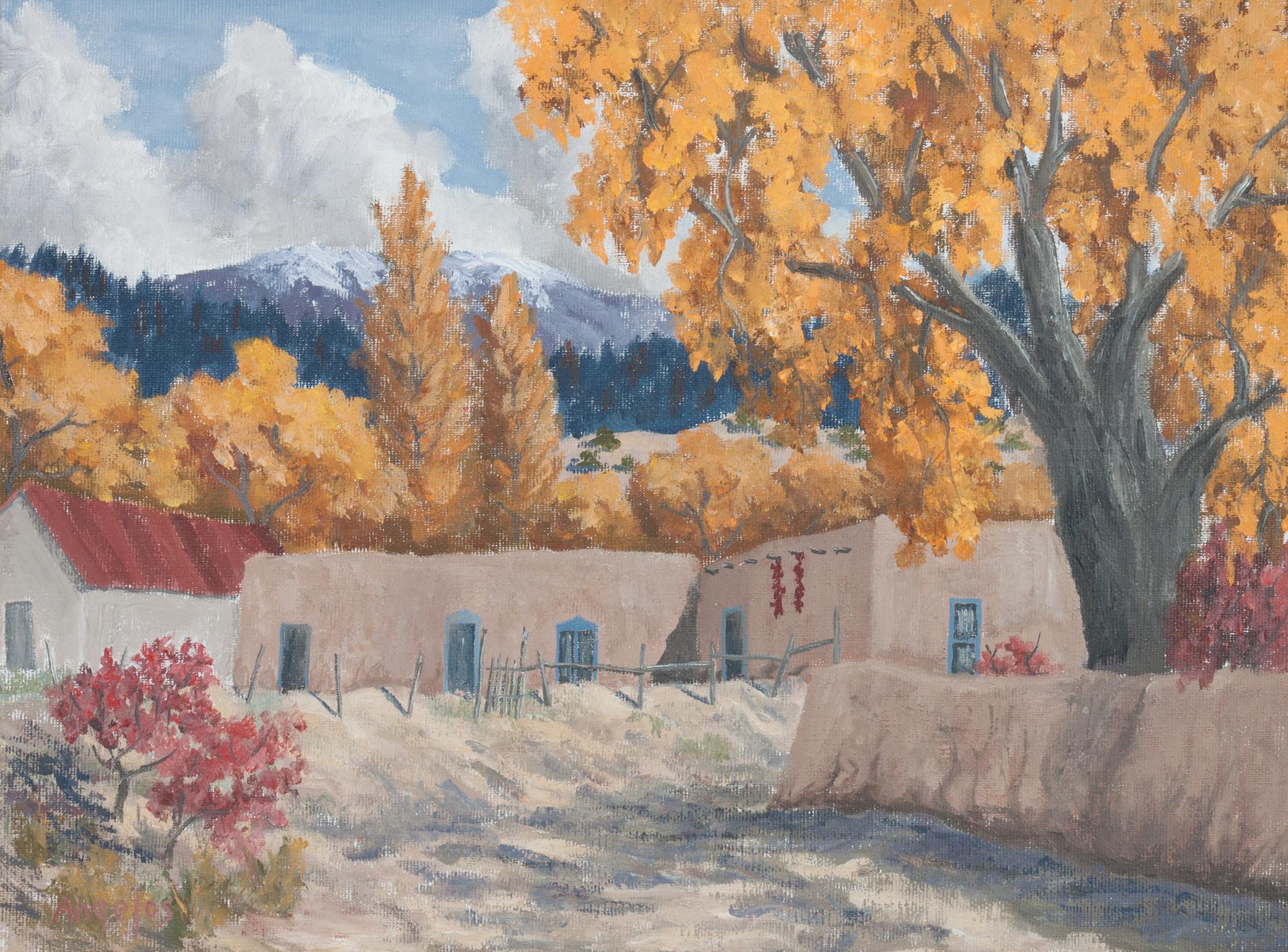 New Mexico Landscape