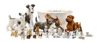 A Group of Twenty-Six Lakeland Terrier Figures Diameter of bowl 8 1/2 inches.