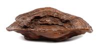 A Large Chinese Carved Hardwood Model of Lingzhi Length 10 inches. — QING DYNASTY (1644-1911)