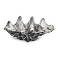 A Large Silver Clad Seashell