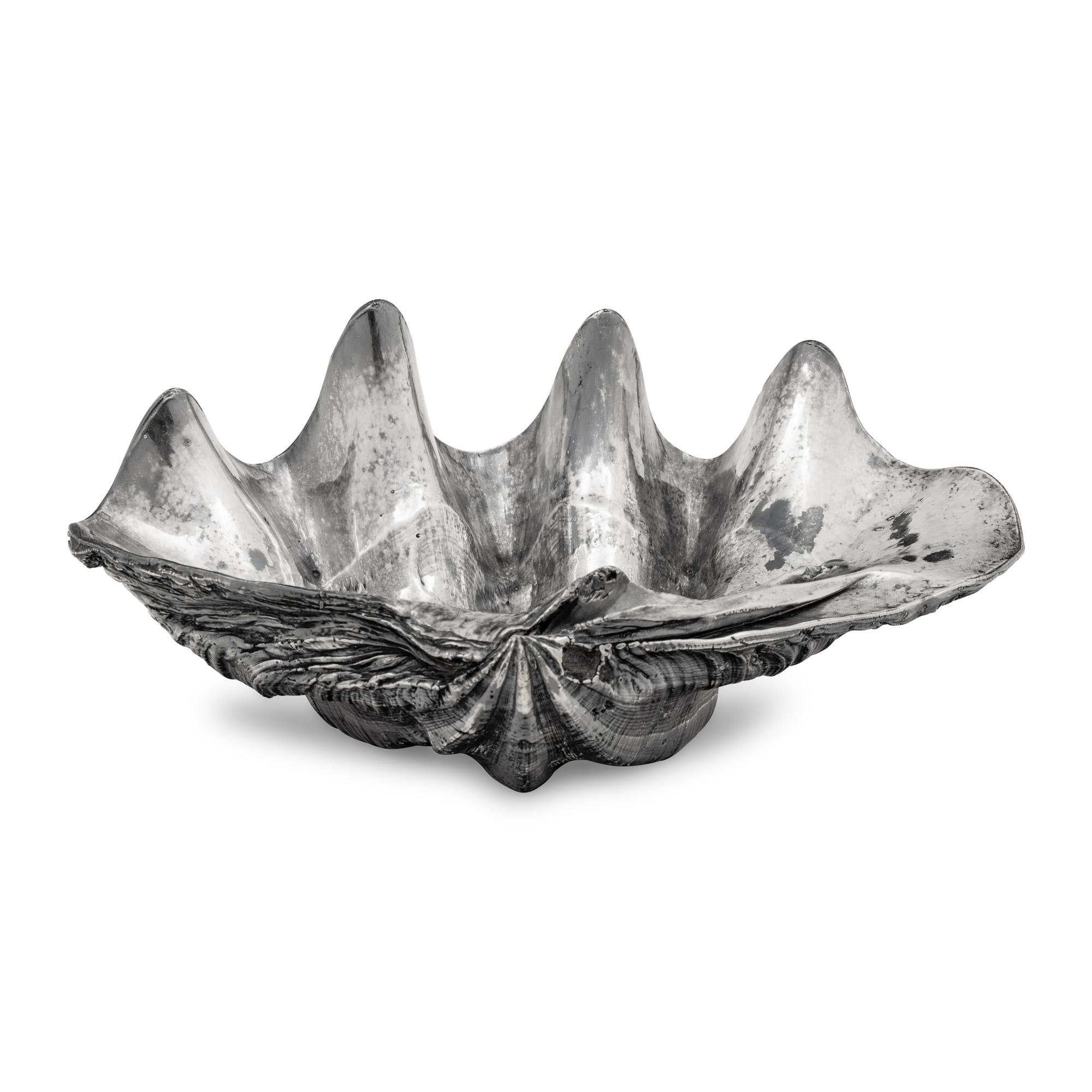 A Large Silver Clad Seashell