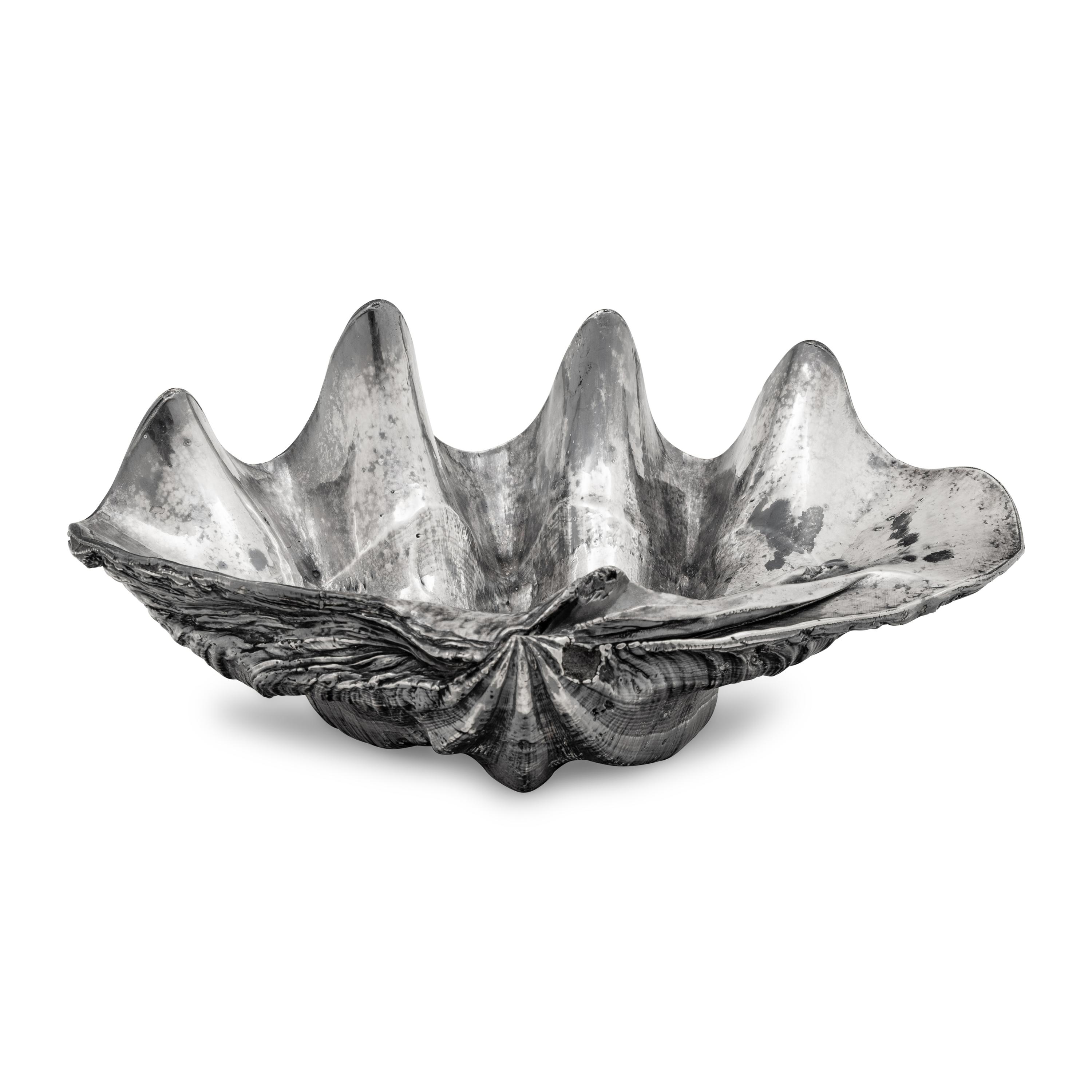 A Large Silver Clad Seashell