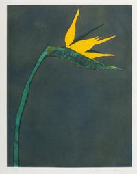 Flower at Barcelona , P.A. 9/10