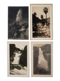 [CALIFORNIA]. 90+ RPPCs and photographs of California wilderness, incl. Yosemite and Redwoods.