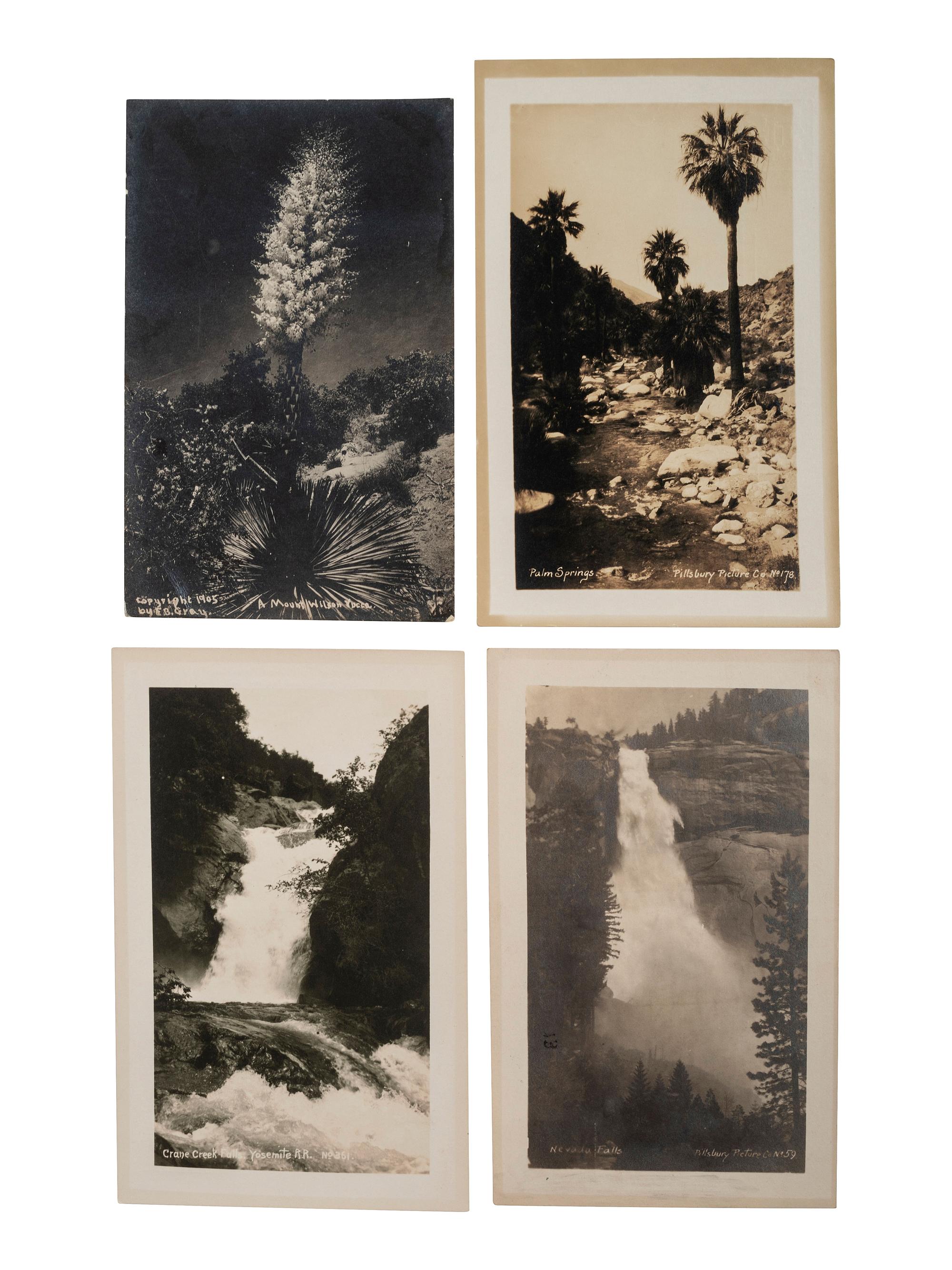[CALIFORNIA]. 90+ RPPCs and photographs of California wilderness, incl. Yosemite and Redwoods.