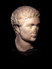 A Roman Marble Portrait Head of the Emperor Domitian