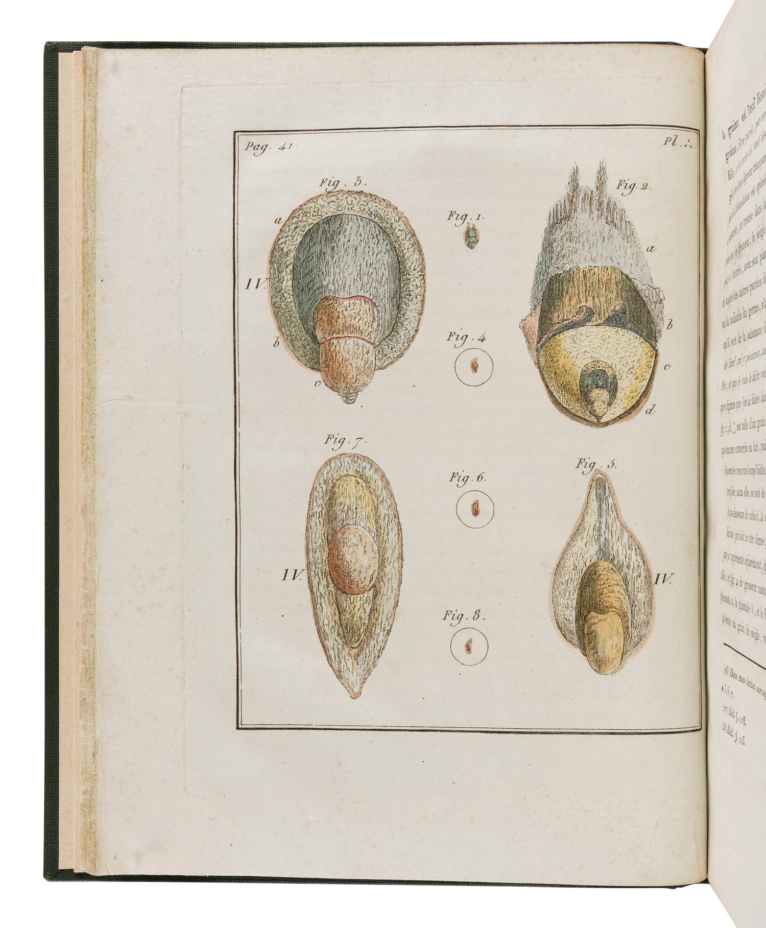 [NATURAL HISTORY]. GLEICHEN, Wilhelm Friedrich von (1717-1783). Dissertation sur la generation, les animalcules spermatiques, et ceux d'infusions. Paris: de l'Imprimerie de Digeon, An VII [1799].