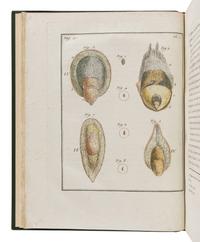 [NATURAL HISTORY]. GLEICHEN, Wilhelm Friedrich von (1717-1783). Dissertation sur la generation, les animalcules spermatiques, et ceux d'infusions. Paris: de l'Imprimerie de Digeon, An VII [1799].