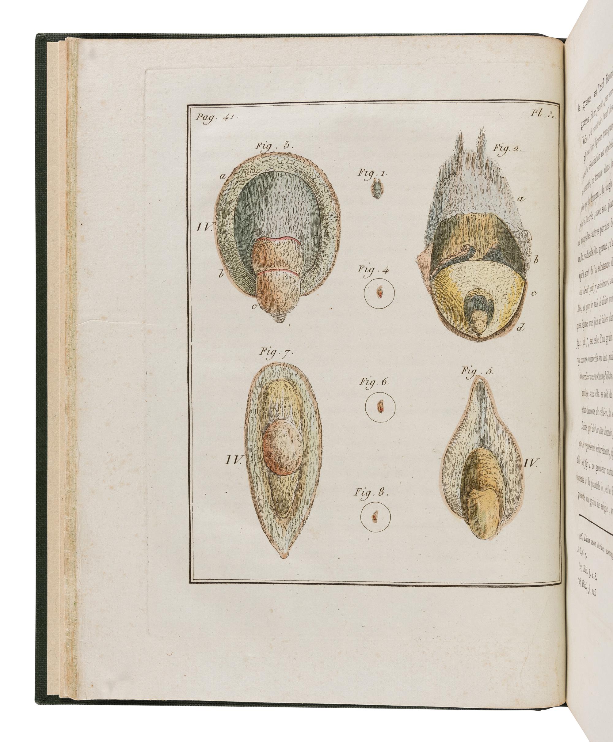 [NATURAL HISTORY]. GLEICHEN, Wilhelm Friedrich von (1717-1783). Dissertation sur la generation, les animalcules spermatiques, et ceux d'infusions. Paris: de l'Imprimerie de Digeon, An VII [1799].