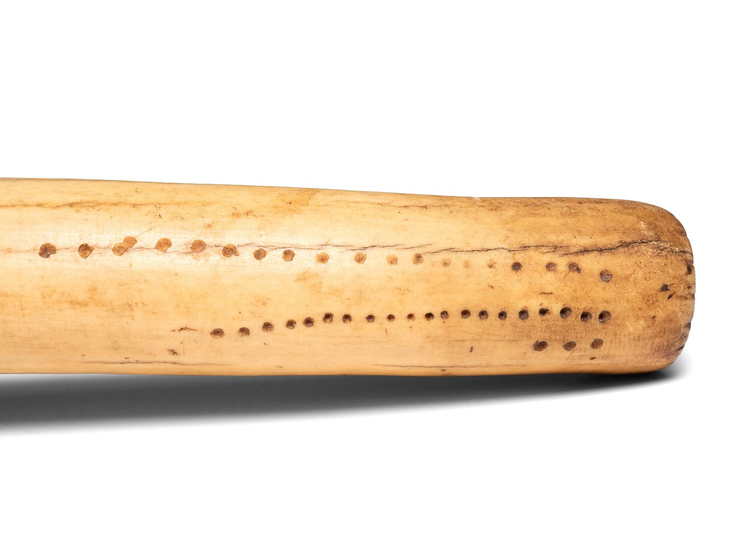 Plains Elk Antler Flesher