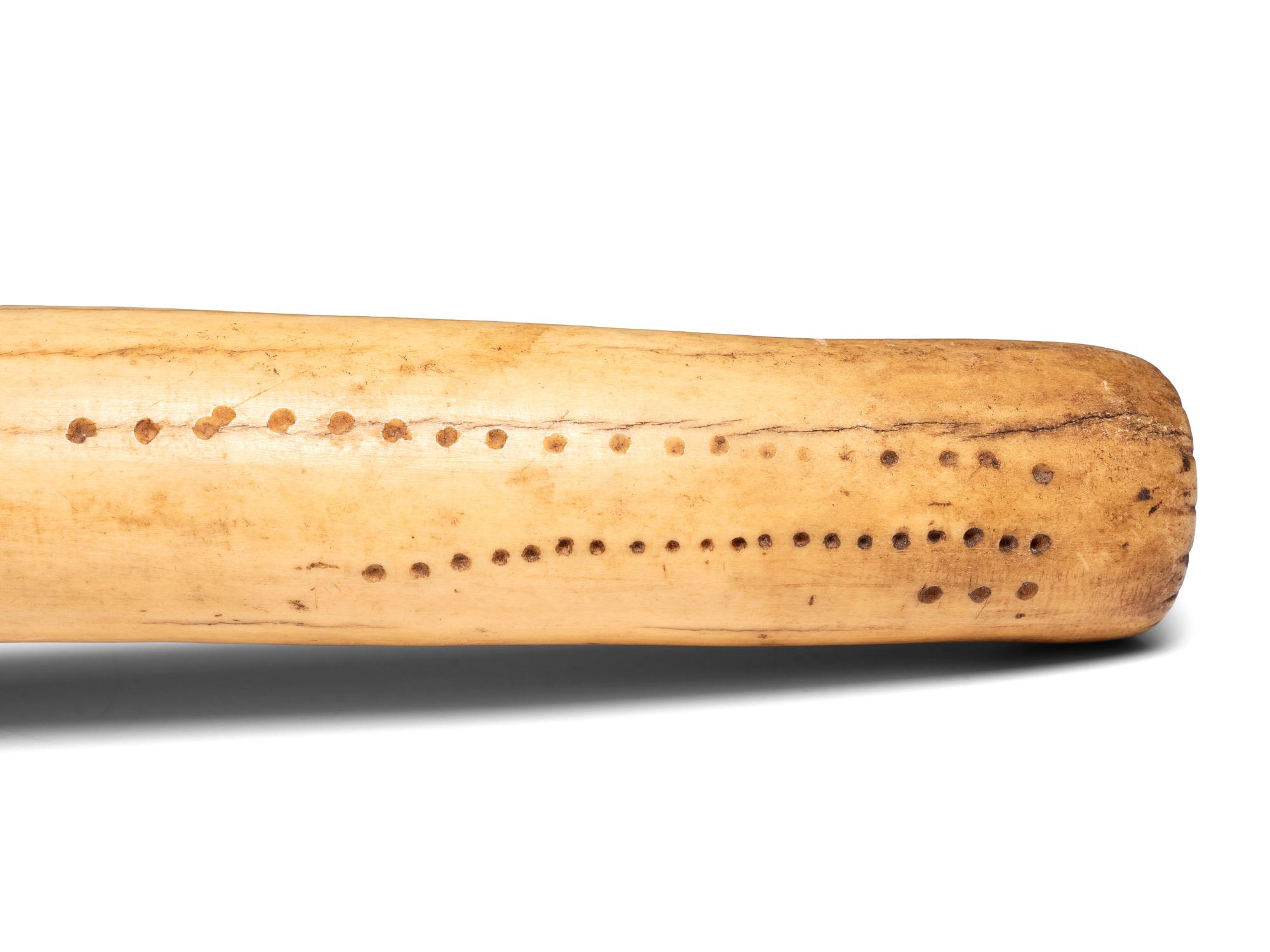 Plains Elk Antler Flesher