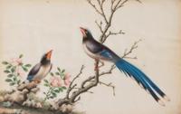 Six Chinese Export Pith Paintings