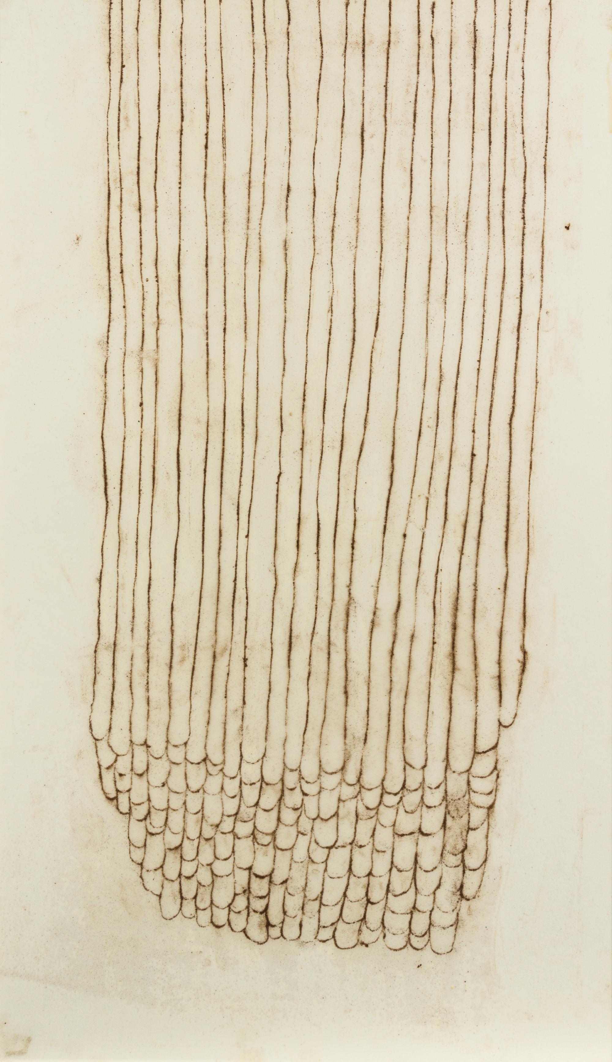 Rivane Neuenschwander, (Brazilian, b. 1967), Table Drawing (Fingerprints), 1998
