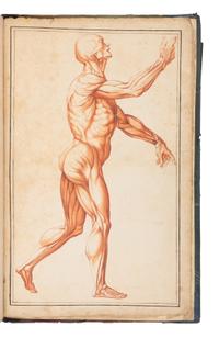 [SCIENCE & MEDICINE -MANUSCRIPT]. [After TORTEBAT, Francois (c 1616-1690), illustrator. -- PILES, Roger de (1635-1709)]. "Abrege d'Anatomie Accommode aux Arts de Peinture et de Sculpture. " [France, ca 17th- early 18th century].