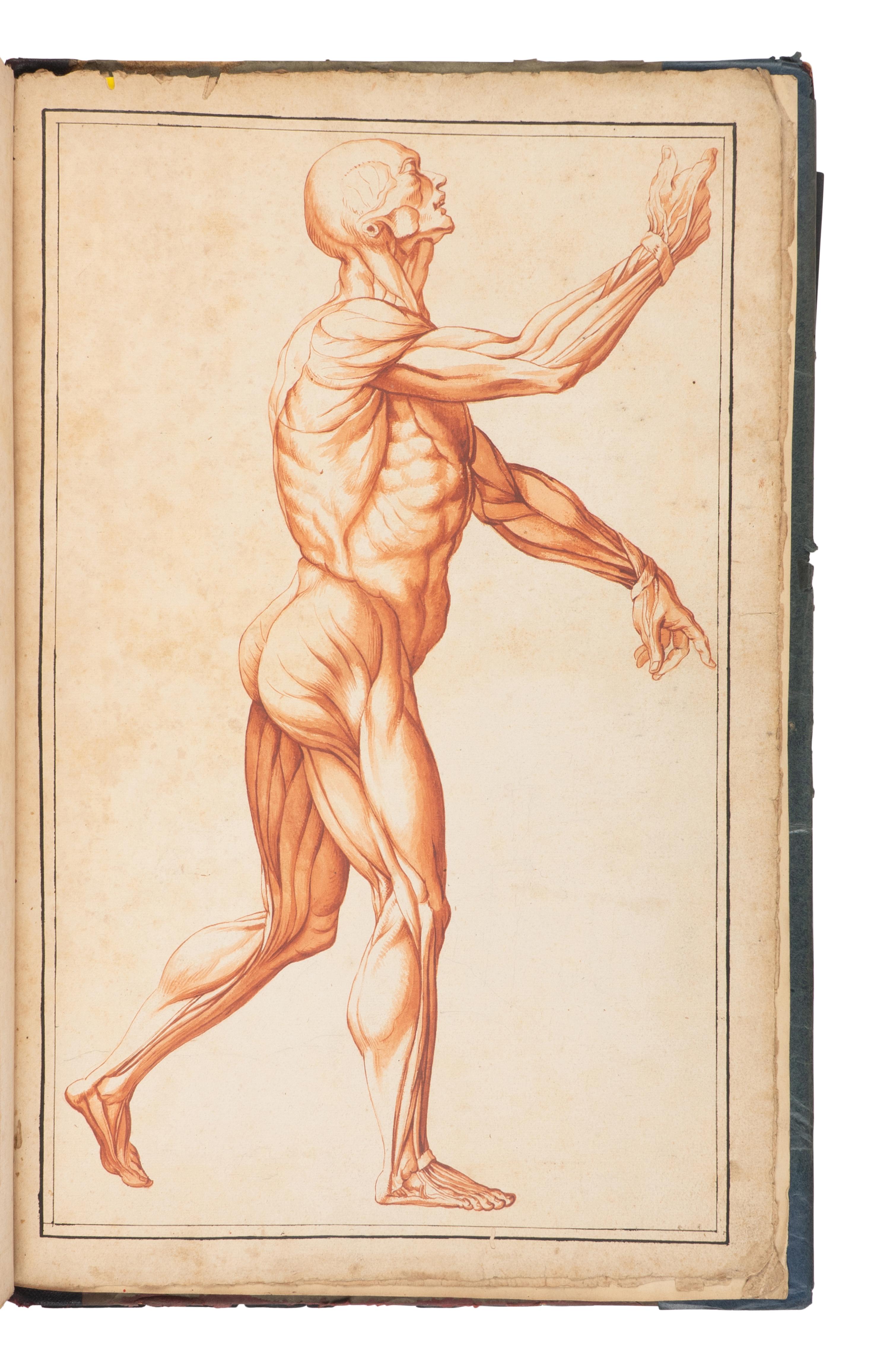 [SCIENCE & MEDICINE -MANUSCRIPT]. [After TORTEBAT, Francois (c 1616-1690), illustrator. -- PILES, Roger de (1635-1709)]. "Abrege d'Anatomie Accommode aux Arts de Peinture et de Sculpture. " [France, ca 17th- early 18th century].