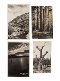 [CALIFORNIA]. 90+ RPPCs and photographs of California wilderness, incl. Yosemite and Redwoods.