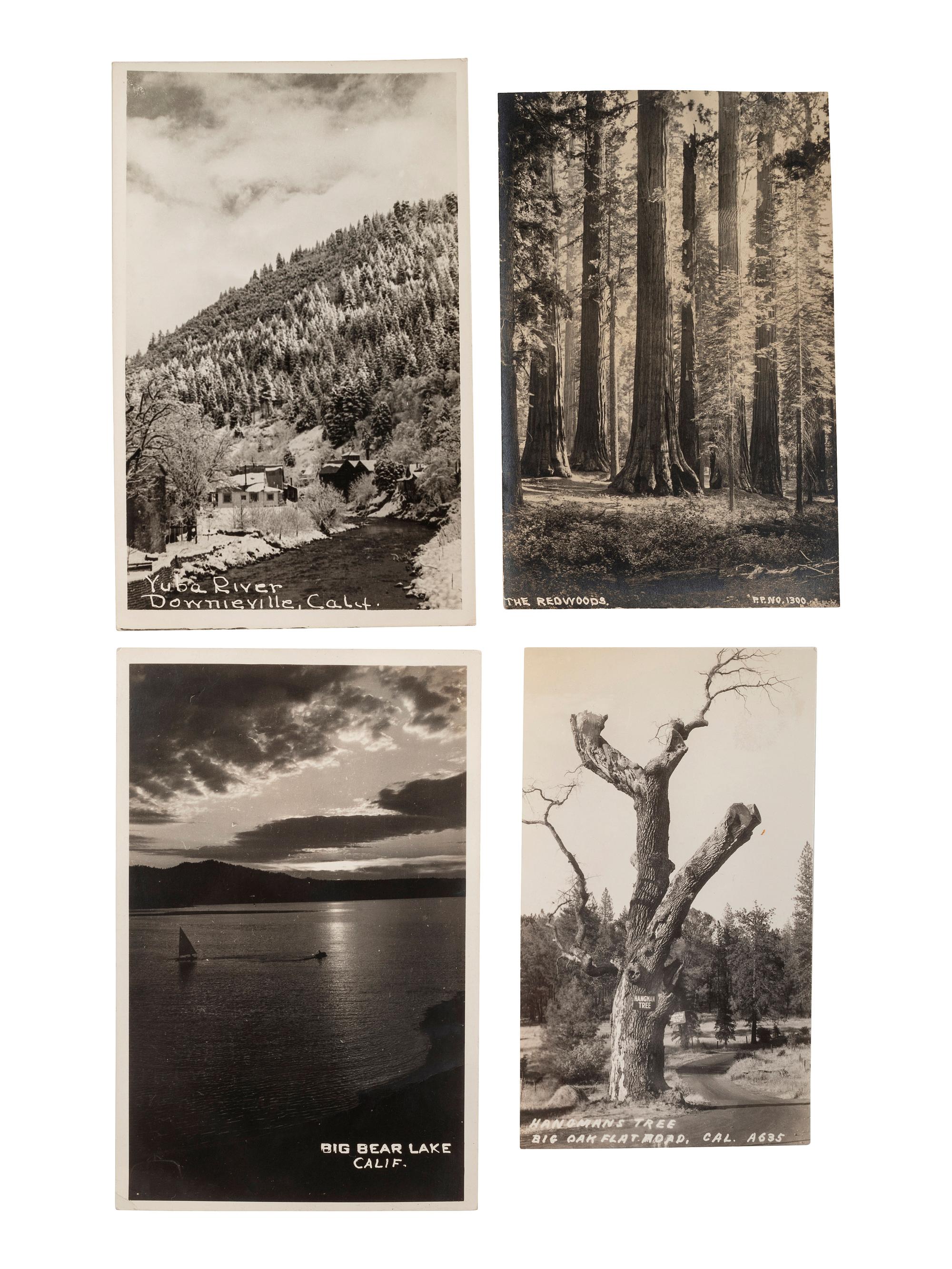 [CALIFORNIA]. 90+ RPPCs and photographs of California wilderness, incl. Yosemite and Redwoods.
