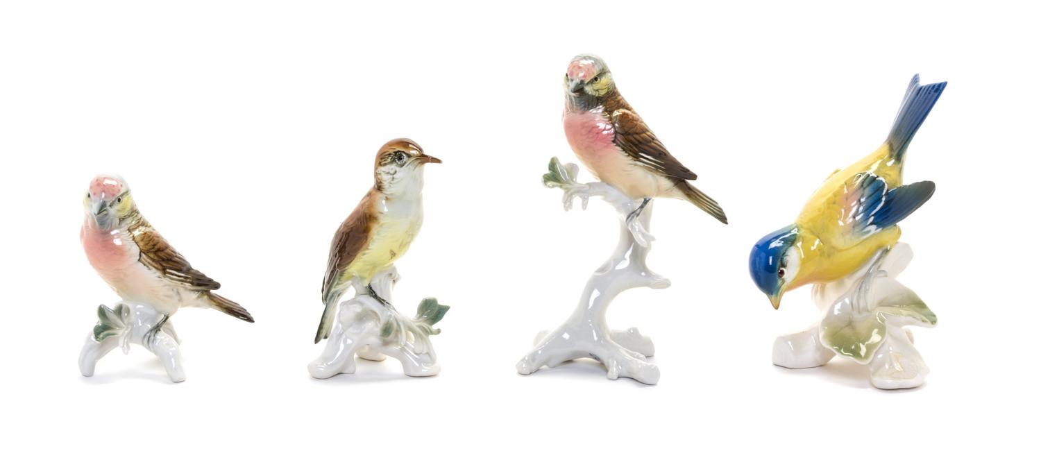 Four Continental Porcelain Ornithological Models Height of tallest 7 1/4 inches.