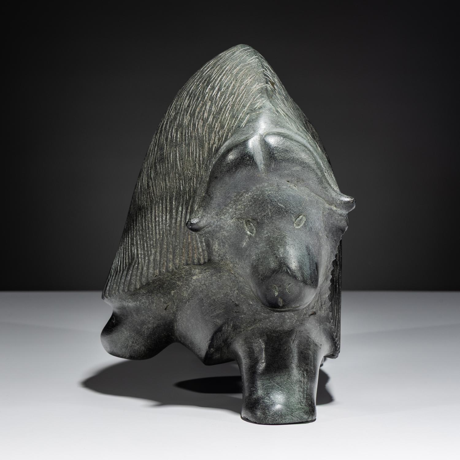 Muskox , Exhibited and Published