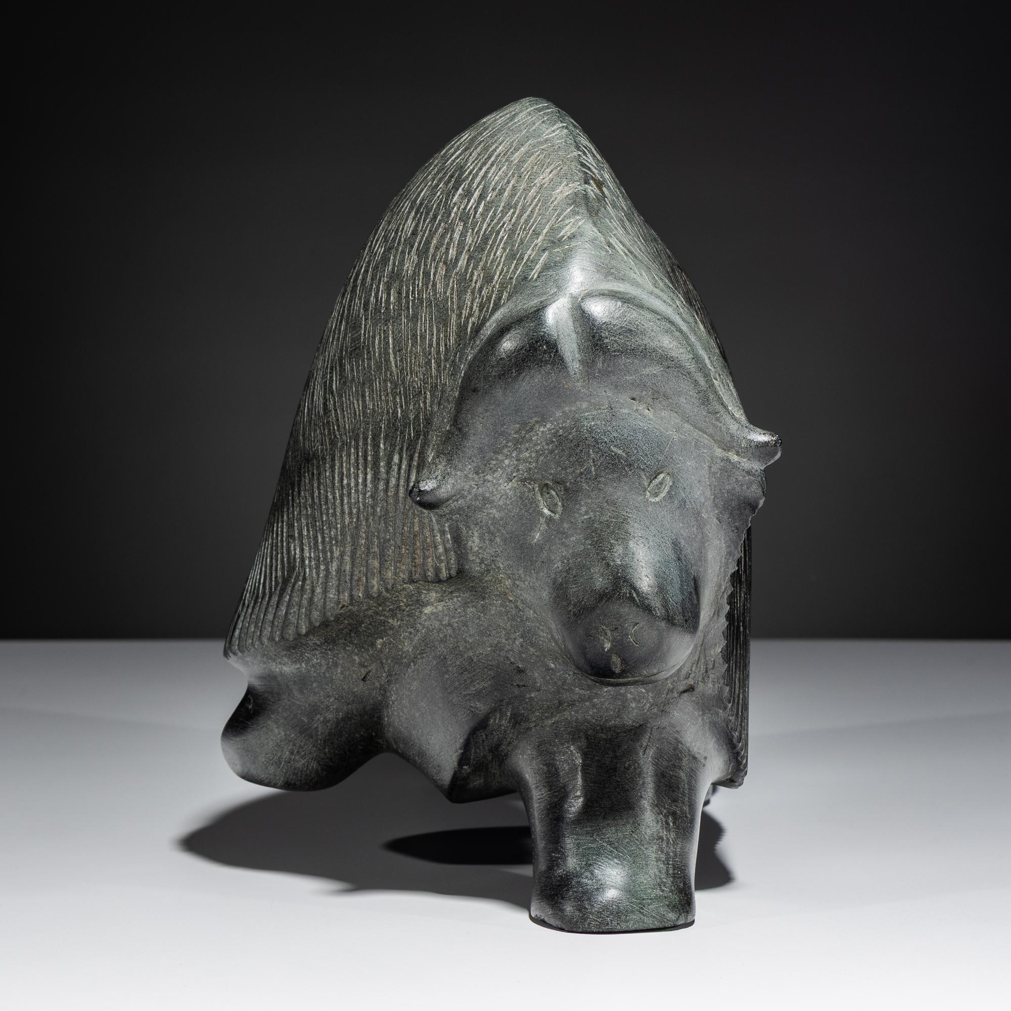 Muskox , Exhibited and Published