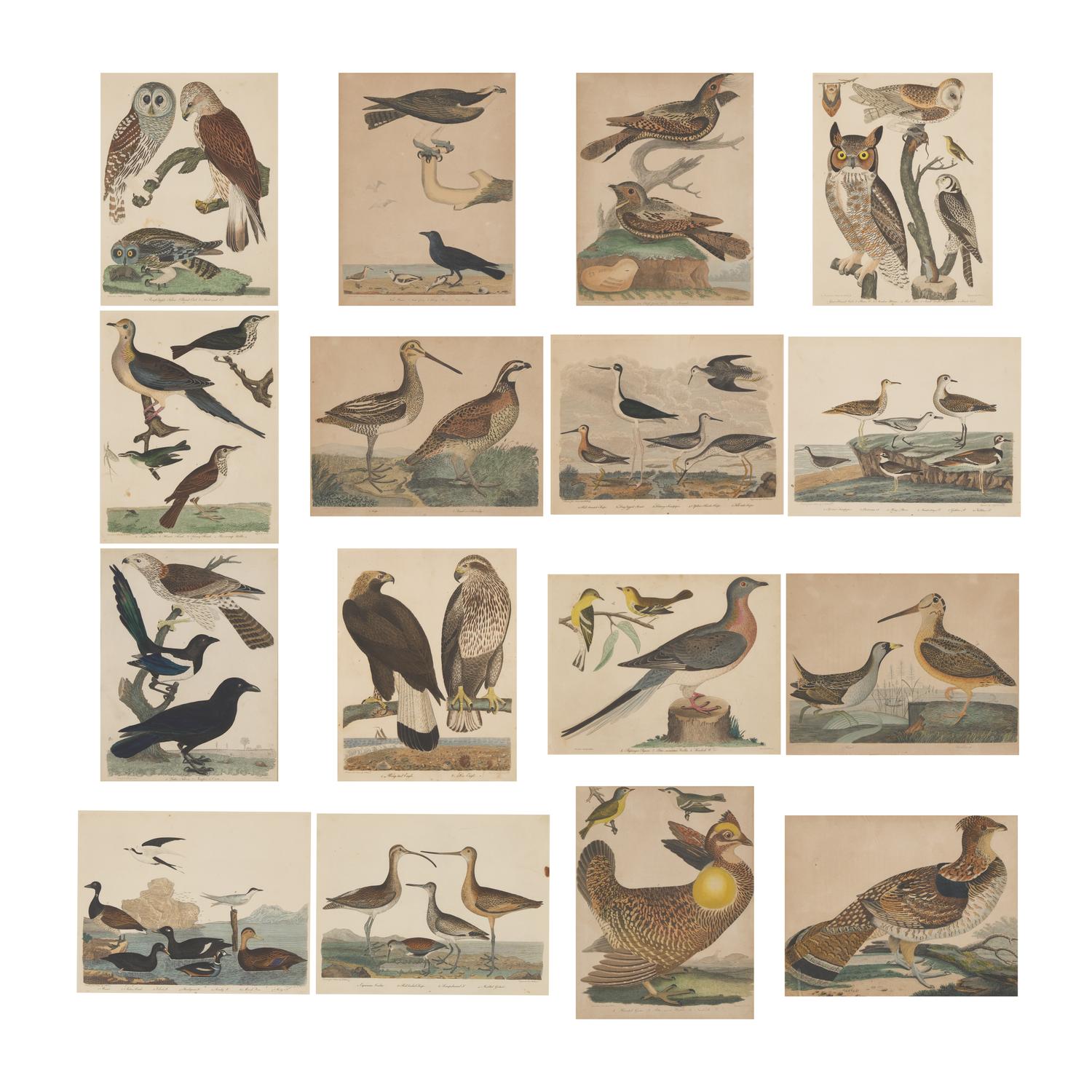 Alexander Lawson (1773-1846) and John G. Warnicke (died 1818), After Alexander Wilson (1766-1813), A Set of Sixteen Hand-Colored Engravings of Various Birds