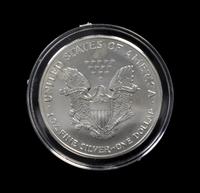 A Group of Seven United States Silver Eagle Colorized Dollar Coins
