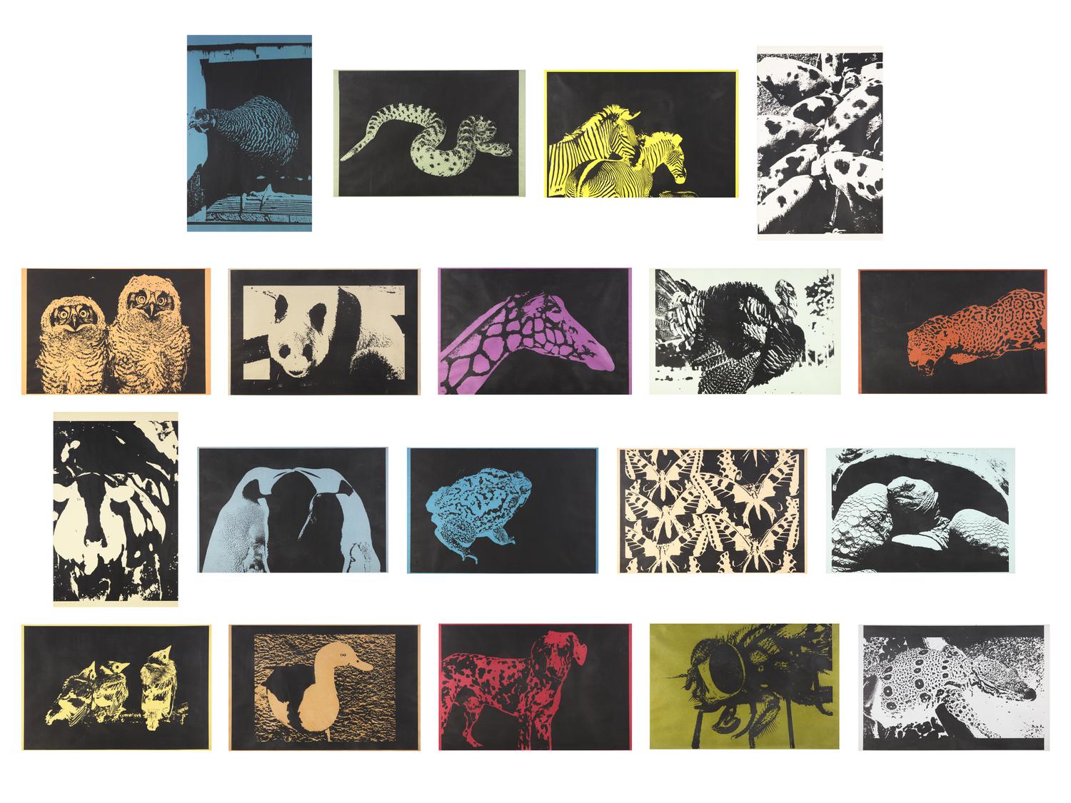 Spot Book, 1966