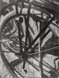 Group of 4 Photographs