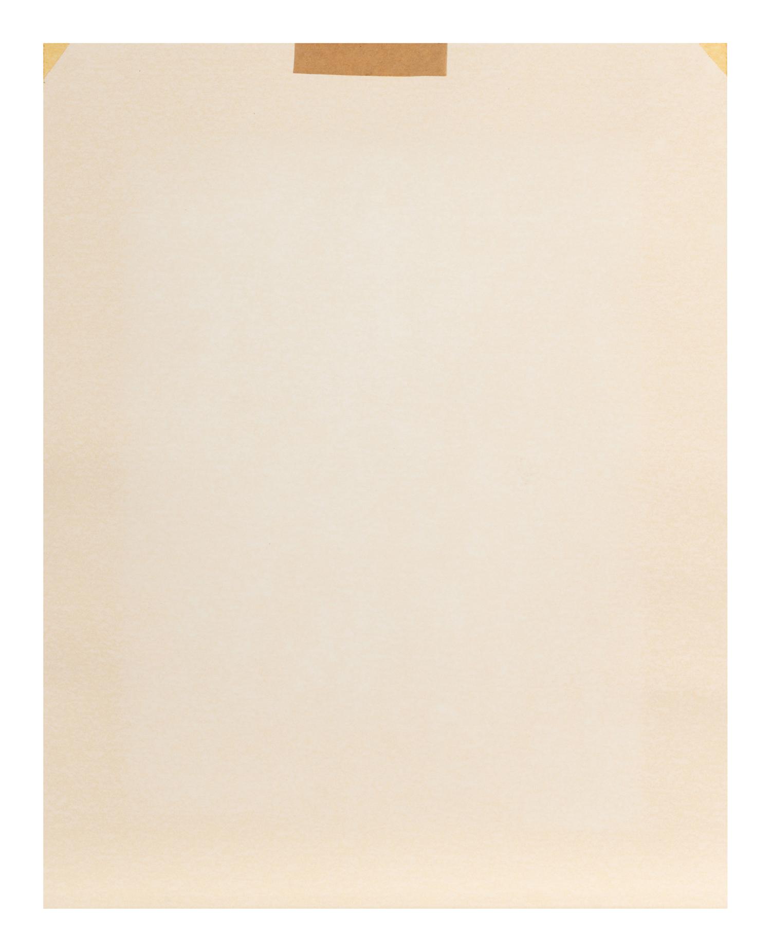 In Bloom , 1993